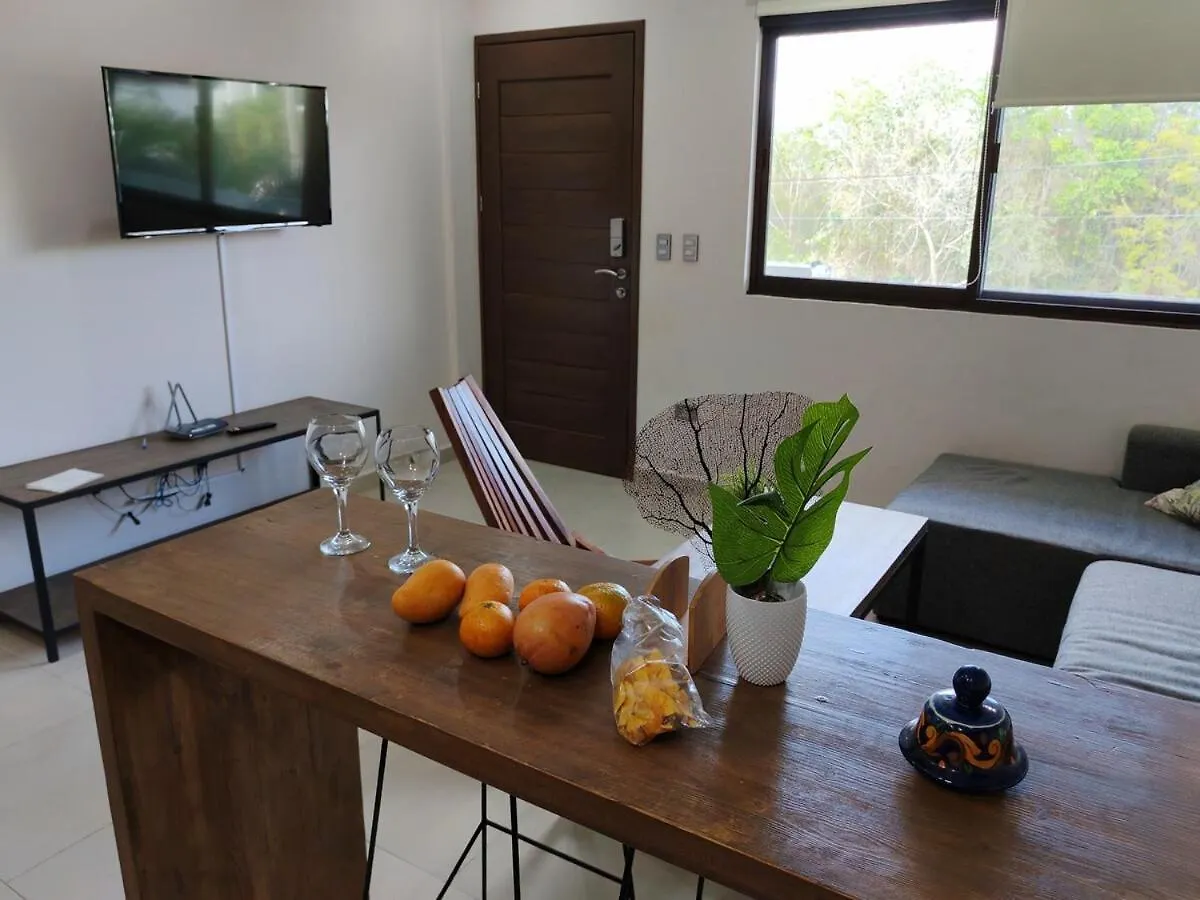 Tiktok Lounge Sunrise Haven Διαμέρισμα Τουλούμ